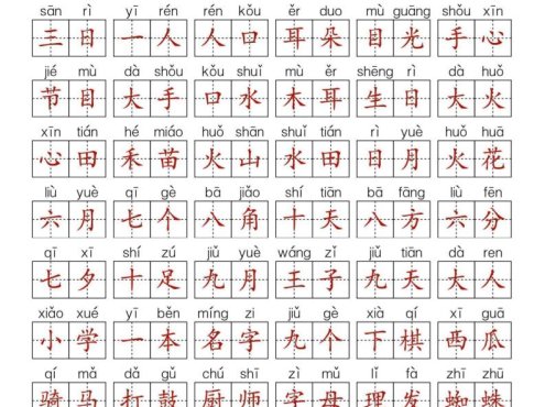 25新一上语文期中复习考点通关练习（含答案14页）