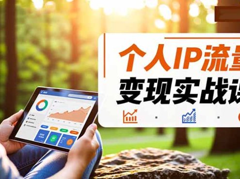 个人IP流量变现实战课，涵盖多平台引流、打造个人IP并实现稳定流量变现