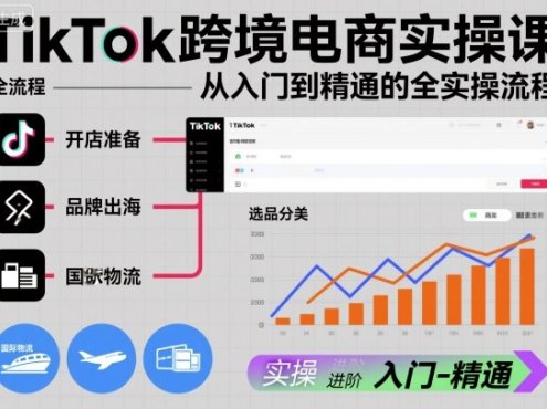 TikTok跨境电商实操课，从入门到精通的全实操流程