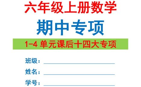 六上数学期中专项复习（十四大专项）空白67页