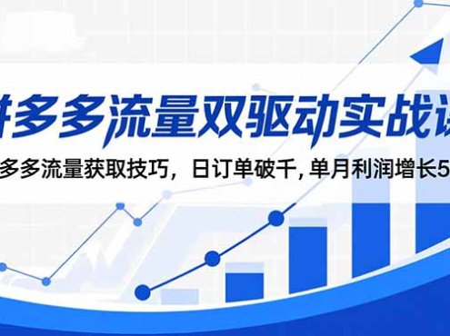 拼多多流量双驱动实战课:拼多多流量获取技巧,日订单破千,单月利润增长5w