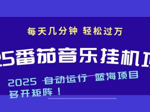 2025最新挂机番茄音乐项目，每天几分钟，日入1000＋