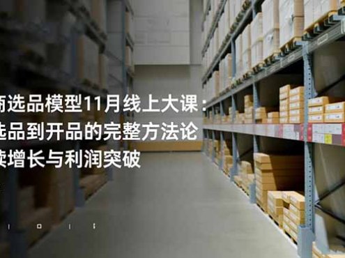 电商选品模型11月线上大课：从选品到开品的完整方法论 持续增长与利润突破
