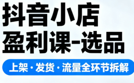 抖音小店盈利课-选品·上架·发货·流量全环节拆解