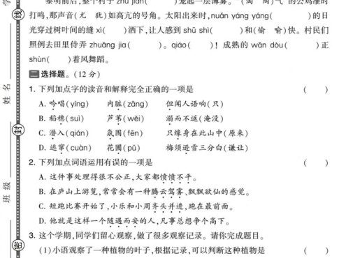 25学年四上语文期中素养达标卷(含答案5页)