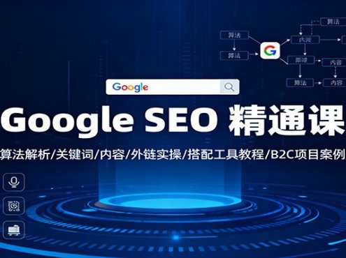 Google SEO 精通课:算法解析/关键词/内容/外链实操/搭配工具教程/B2C项目案例