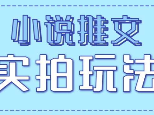 小说推文实拍玩法,零成本零门槛10元/单,轻松月收益万元