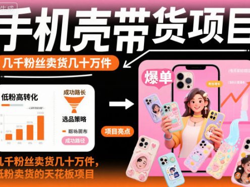 手机壳带货项目,几千粉丝卖货几十万件,短视频低粉卖货的天花板项目