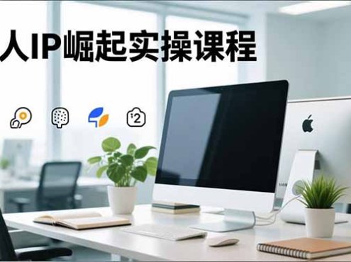 个人IP崛起实操课程，IP思维塑造+赛道精准调研+账号高变现搭建+内容创作