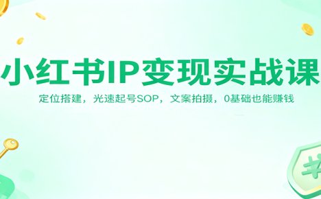 小红书IP变现实战课：定位搭建，光速起号SOP，文案拍摄，0基础也能赚钱