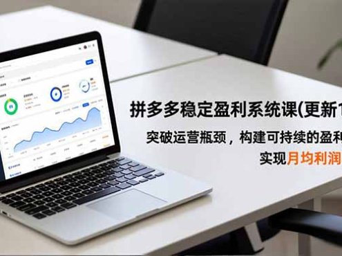 拼多多稳定盈利系统课(更新11月