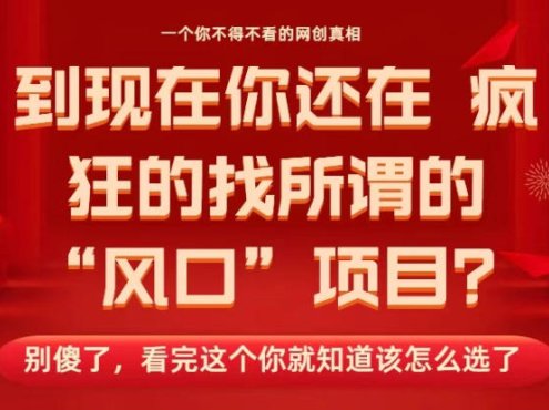 马上26年了，你还在找所谓的风口项目？别傻了，看完这个你全都懂了！【揭秘】