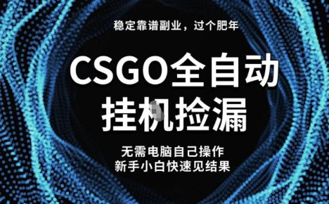 【稳定副业】全球最热门游戏CSGO全自动捡漏，最新玩法，新手小白日入5张+【揭秘】