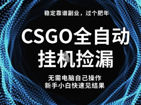 【稳定副业】全球最热门游戏CSGO全自动捡漏,最新玩法,新手小白日入5张+【揭秘】