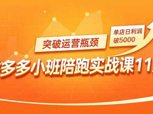 拼多多小班陪跑实战课11月，强付费矩阵、原价活动、暗券引流，突破运营瓶颈，单店日利润破5000