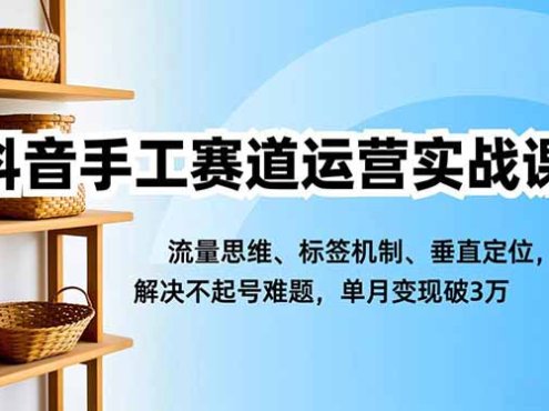 抖音手工赛道运营实战课,流量思维、标签机制、垂直定位,解决不起号难题,单月变现破3万
