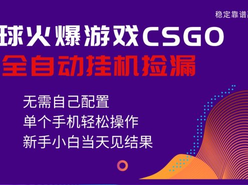 火爆游戏CSGO全自动捡漏,独家最新玩法,单个手机可操作,新手小白日入500+