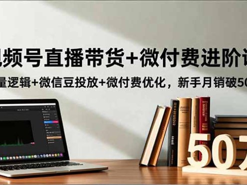 视频号直播带货+微付费进阶课:流量逻辑+微信豆投放+微付费优化,新手月销破50万
