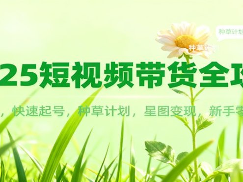 2025短视频带货全攻略：爆款文案，快速起号，种草计划，星图变现，新手零门槛上手
