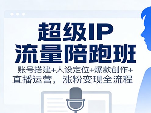 超级IP流量陪跑班：账号搭建+人设定位+爆款创作+直播运营，涨粉变现全流程