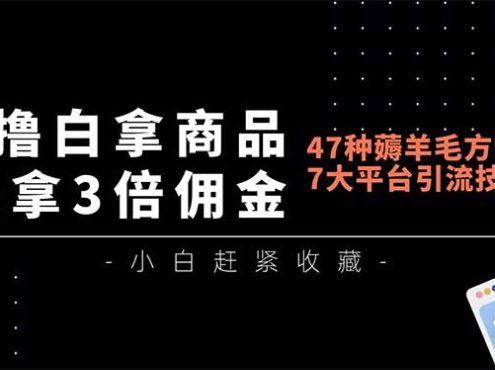 0撸白拿商品,还拿3倍佣金,47种薅羊毛方法,7大平台全方位引流技术教学,精专月入过万