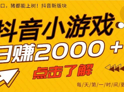 5年爆火的抖音小游戏项目,一部手机日入2000+