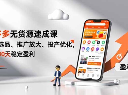 拼多多无货源速成课,开店选品、推广放大、投产优化,新手30天稳定盈利