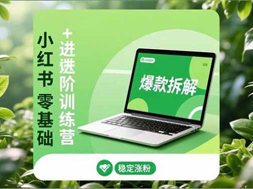 小红书零基础+高阶训练营:安全养号、爆款拆解、长效运营,实现稳定涨粉与变现