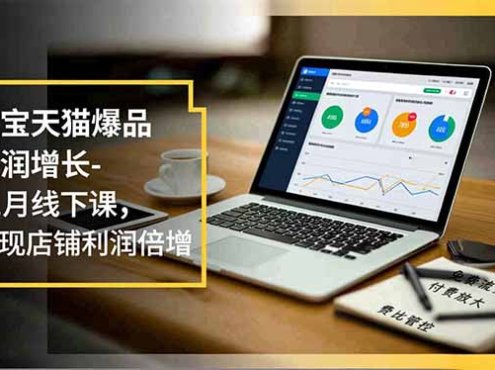 淘宝天猫爆品利润增长-11月线下课,免费流量、付费放大、费比管控,实现店铺利润倍增