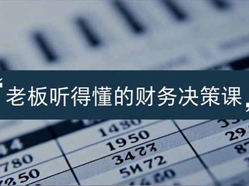 老板能听得懂的财务决策课,报表解读、数据洞察、风险识别,用财务驱动业务增长