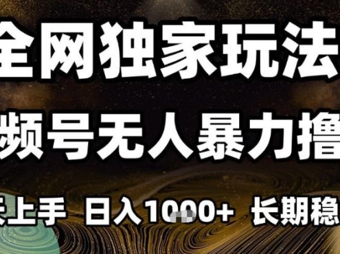 年底最新独家视频号无人直播撸礼物,小白也能轻松日入1k+,长期稳定,可批量复制【揭秘】