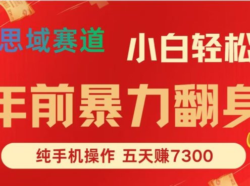 年前爆火项目，5天赚了7300