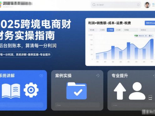 2025跨境电商财务实操指南，从后台到账本，算清每一分利润，系统讲解-案例实操-专业提升