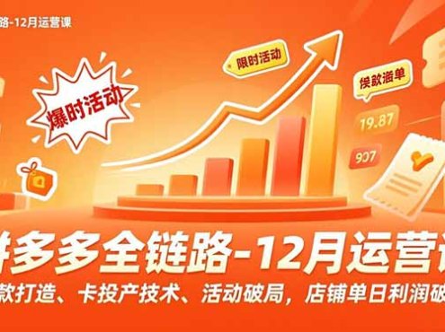 拼多多全链路-12月运营课，爆款打造、卡投产技术、活动破局，店铺单日利润破万