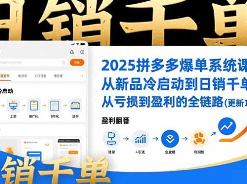 2025拼多多爆单系统课，从新品冷启动到日销千单、从亏损到盈利的全链路(更新12月