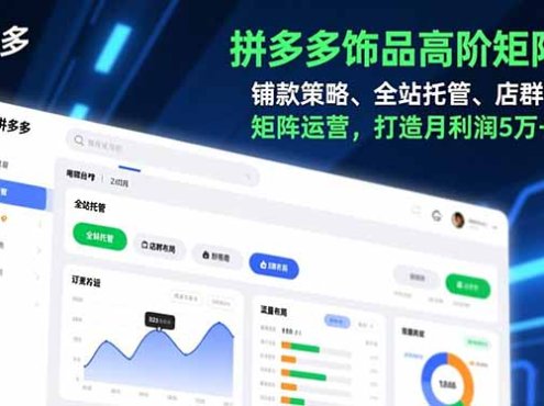 拼多多饰品高阶矩阵课，铺款策略、全站托管、店群布局，矩阵运营，打造月利润5万+店铺