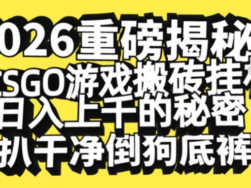 2026开年重磅解密，CSGO游戏搬砖挂G日入1k+的秘密，把倒狗的底裤扒干【揭秘】