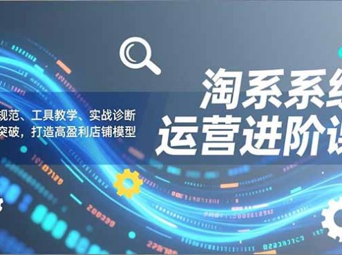 淘系系统运营进阶课2.0，流程规范、工具教学、实战诊断，进阶突破，打造高盈利店铺模型