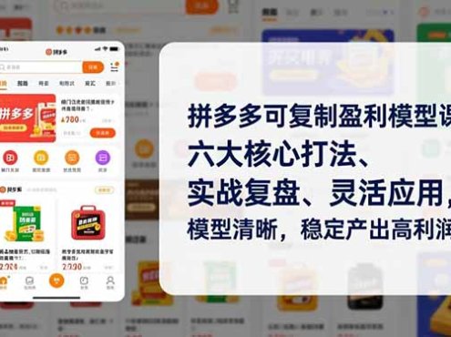 拼多多可复制盈利模型课，六大核心打法、实战复盘、灵活应用，模型清晰，稳定产出高利润