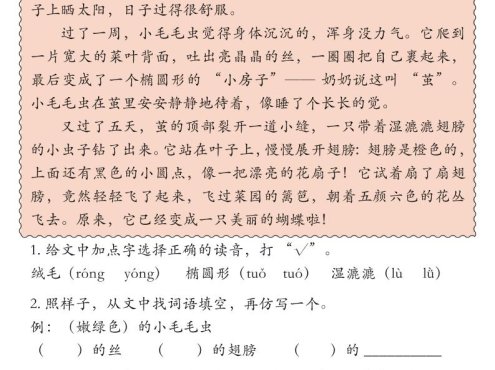 25秋二上语文期末课外阅读理解专项训练23篇（含答案33页）
