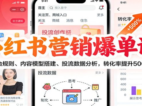 小红书营销爆单课：平台规则、内容模型搭建、投流数据分析，转化率提升500%