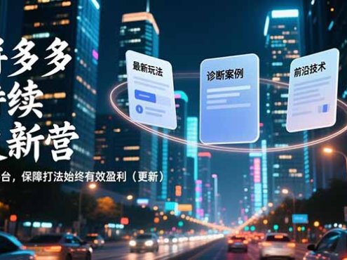 拼多多持续更新营,最新玩法、诊断案例、前沿技术,紧跟平台,保障打法始终有效盈利(更新