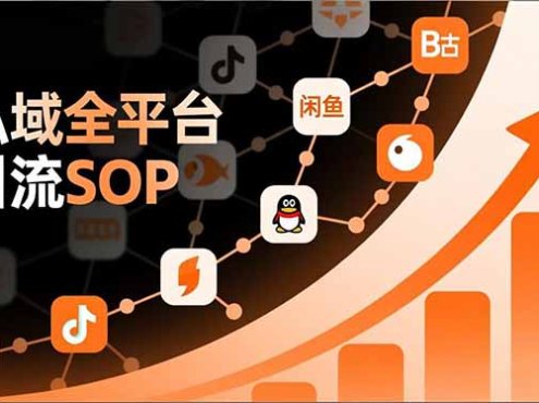 私域全平台引流SOP,抖音/快手/小红书/微信/QQ/B站/闲鱼等,技术合集,高效转化公域流量