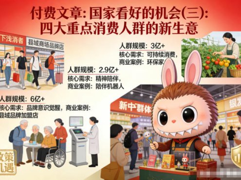 付费文章：国家看好的机会(三)：四大重点消 费人群的新生意