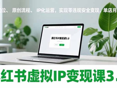 小红书虚拟IP变现课3.0，赛道定位、原创流程、IP化运营，实现零违规安全变现，单店月入过万