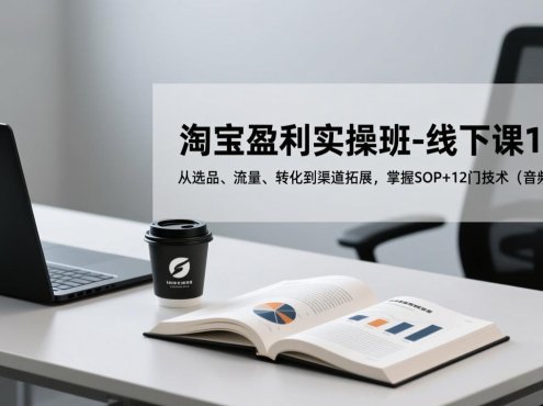 淘宝盈利实操班-线下课12月，从选品、流量、转化到渠道拓展，掌握SOP+12门技术(音频+字幕