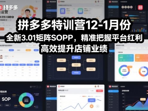 拼多多特训营12-1月份，全新3.01矩阵Sop，精准把握平台红利，高效提升店铺业绩