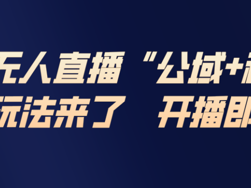 淘宝无人直播最新玩法，包含私域和公域两种玩法