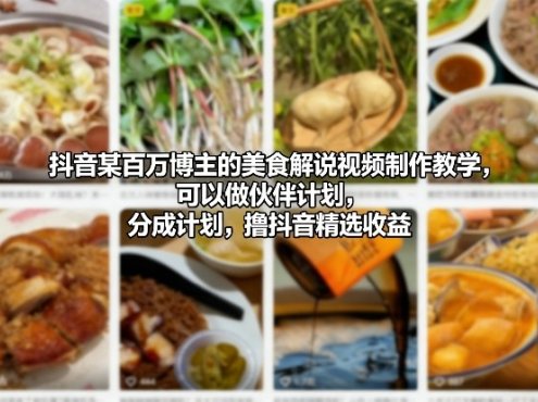 抖音某百万博主的美食解说视频制作教学，可以做伙伴计划，分成计划，撸抖音精选收益