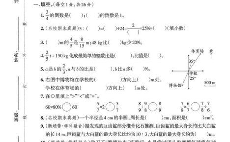 25版六上人教版数学期末试卷(一)